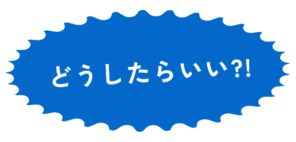 どうしたらいい?!